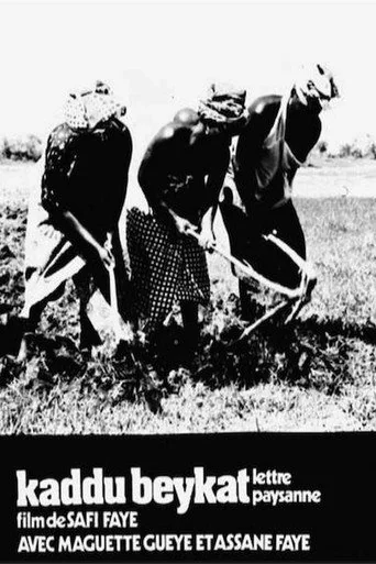 Kaddu Beykat (1975)
