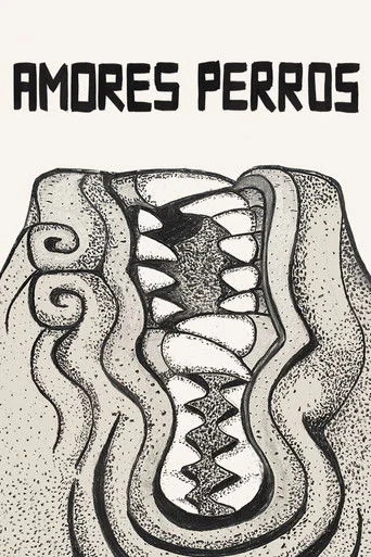 Amores perros (2000) poster