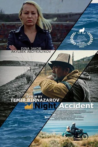 Night Accident (2017) poster