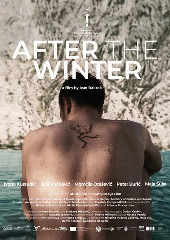 After the Winter (2021) poster
